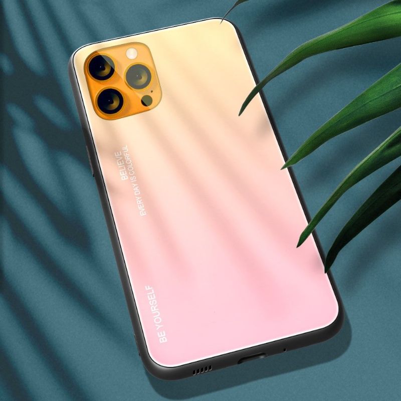 Coque iPhone 13 Pro Max dégradé de couleurs