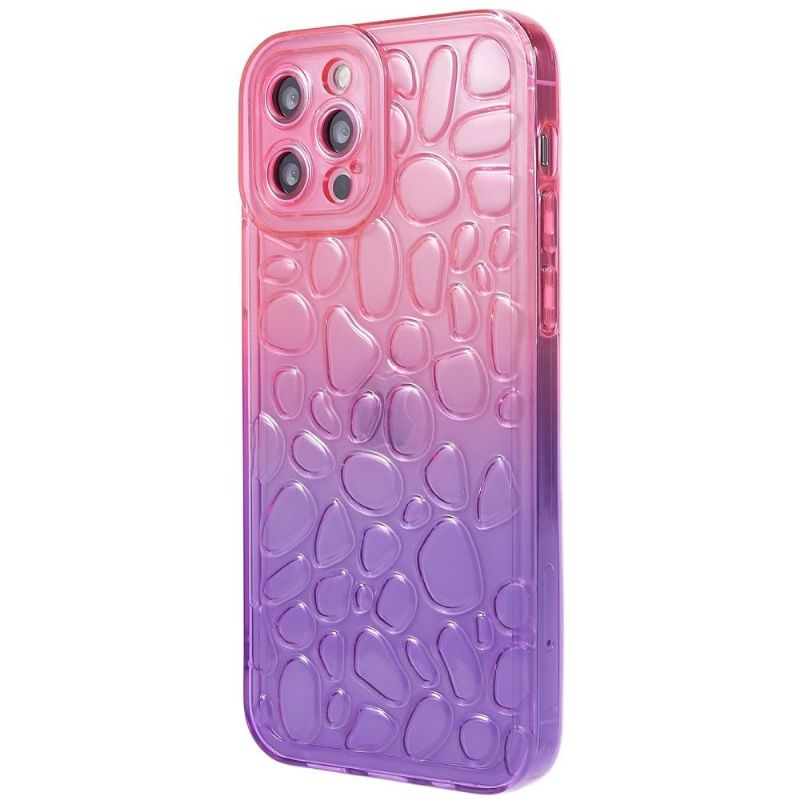 Coque iPhone 12 Pro Max Bicolore Galets