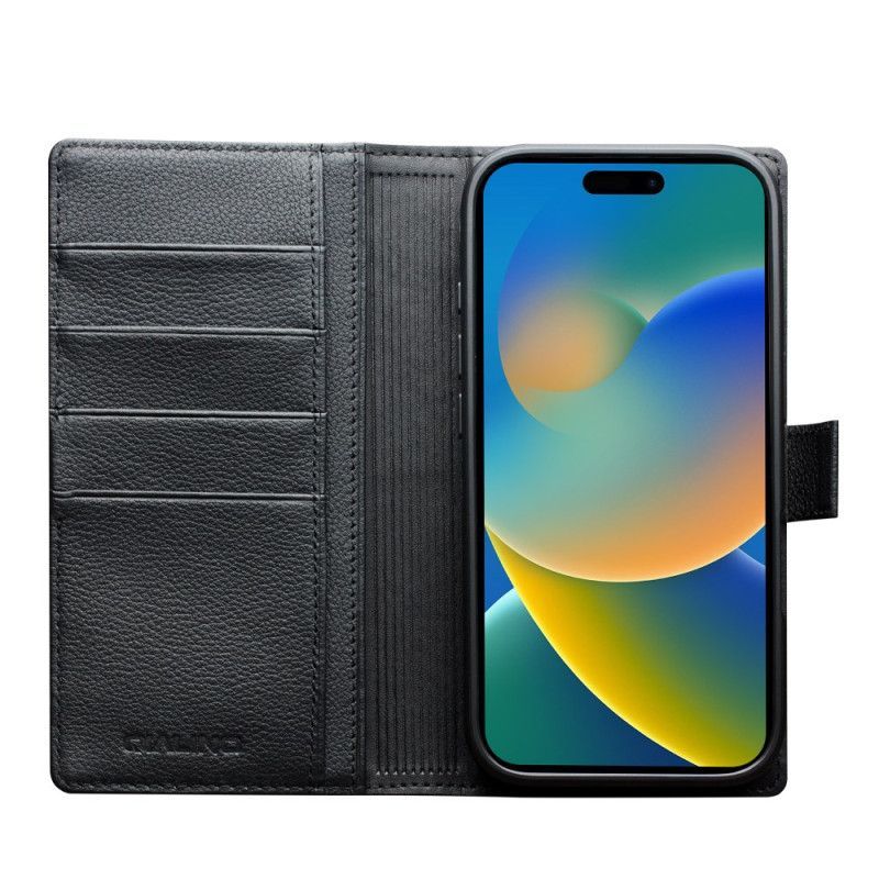 Housse iPhone 17 MagSafe Coque Détachable Cuir Premium