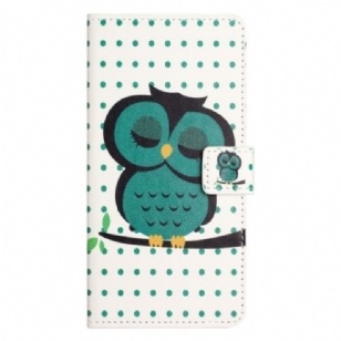 Housse Google Pixel 10A Hibou Endormi