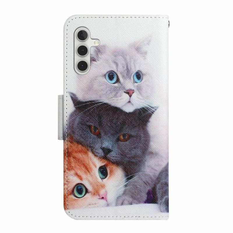 Housse Galaxy A17 4G / 5G Trois Chats