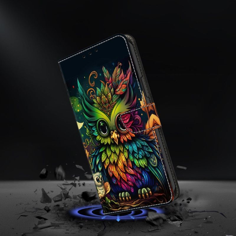 Housse Samsung Galaxy S25 Plus 5G Hibou Coloré